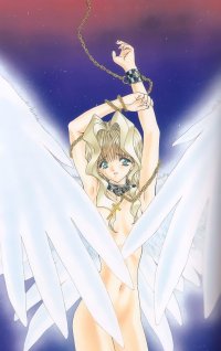 BUY NEW seraphic feather - 23117 Premium Anime Print Poster